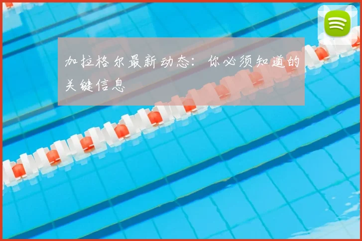 加拉格尔最新动态：你必须知道的关键信息
