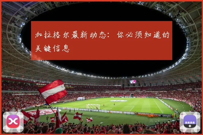 加拉格尔最新动态：你必须知道的关键信息