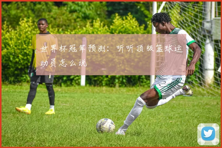 世界杯冠军预测：听听顶级篮球运动员怎么说